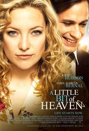 فيلم A Little Bit of Heaven مترجم