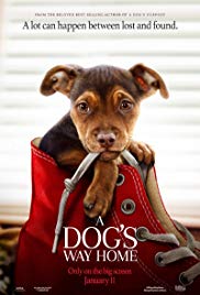 فيلم A Dogs Way Home 2019 مترجم